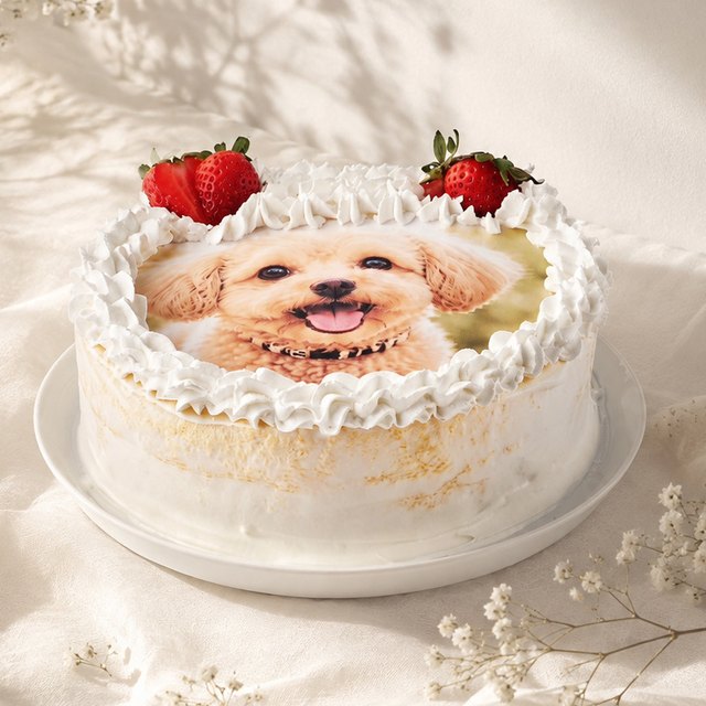 写真プリントの丸型バースデーケーキ（5号・直径15cm）。新宿の誕生日サプライズ向け